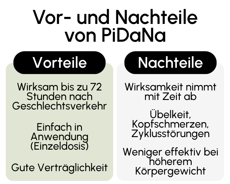 Vor- und Nachteile von PiDaNa