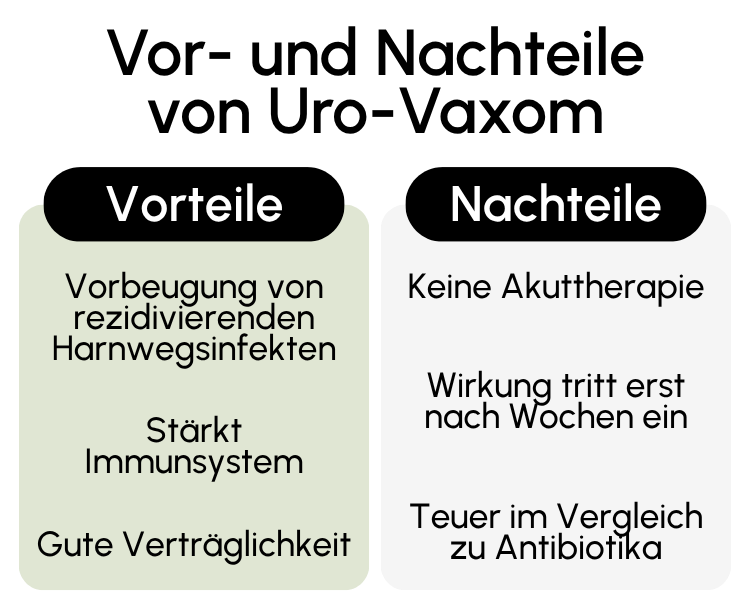 Vor- und Nachteile von Uro-Vaxom