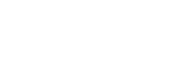 Primex Finance - Fundraising Challenge