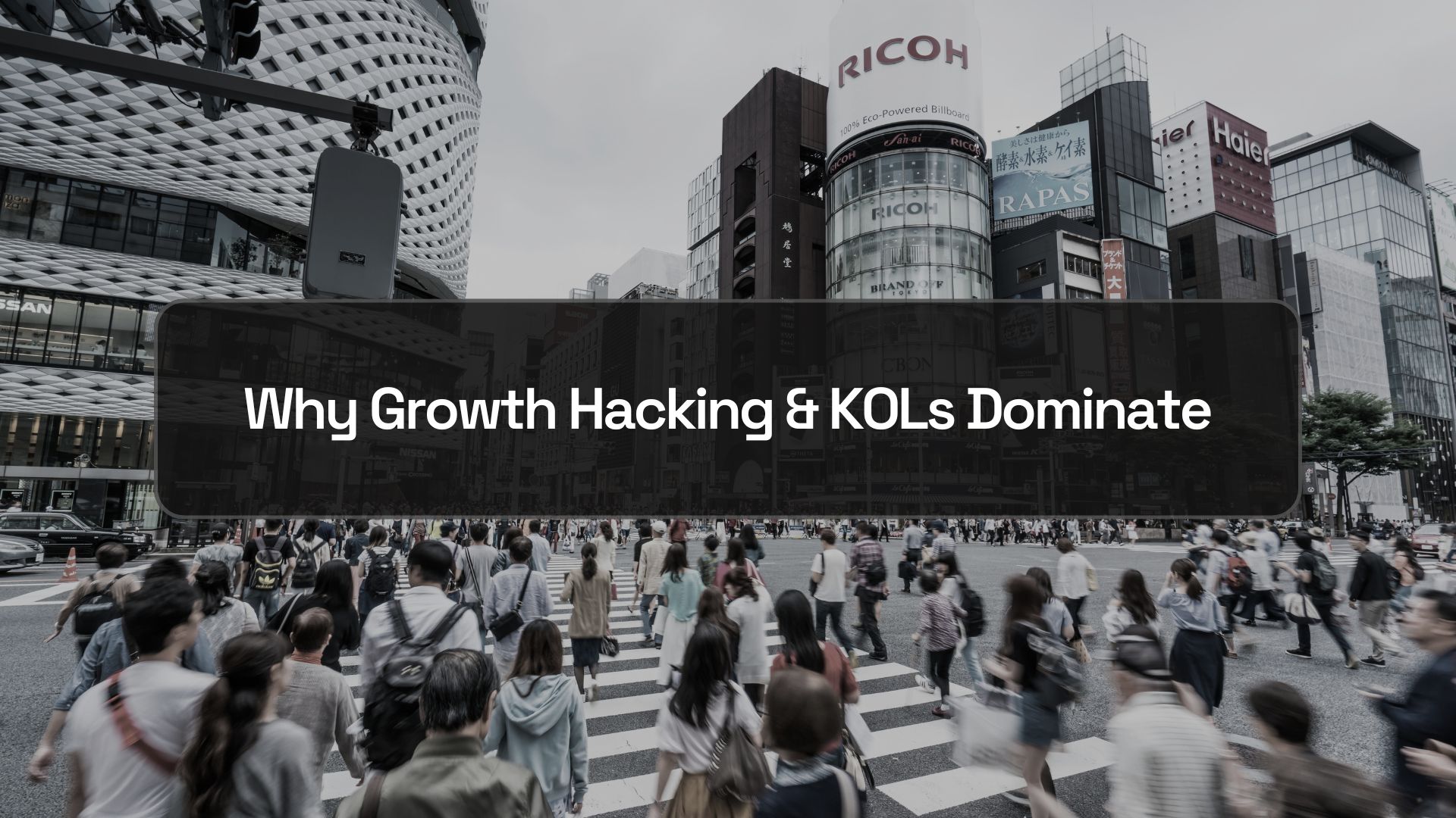 Why Growth Hacking and KOL Marketing Dominate During Bull Markets