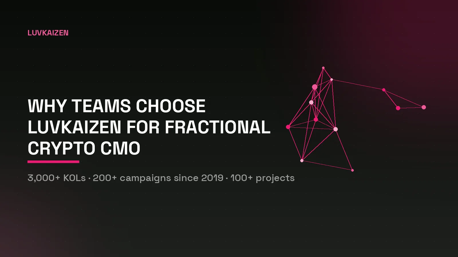 Why LuvKaizen fractional CMOs