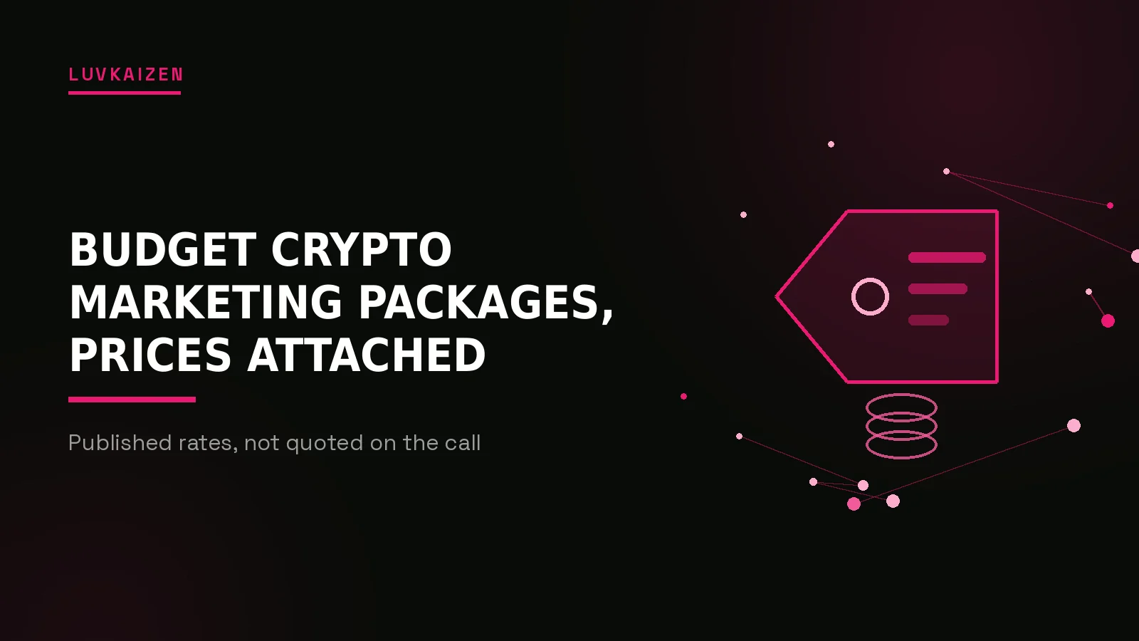 budget crypto marketing packages: LuvKaizen branded hero illustration