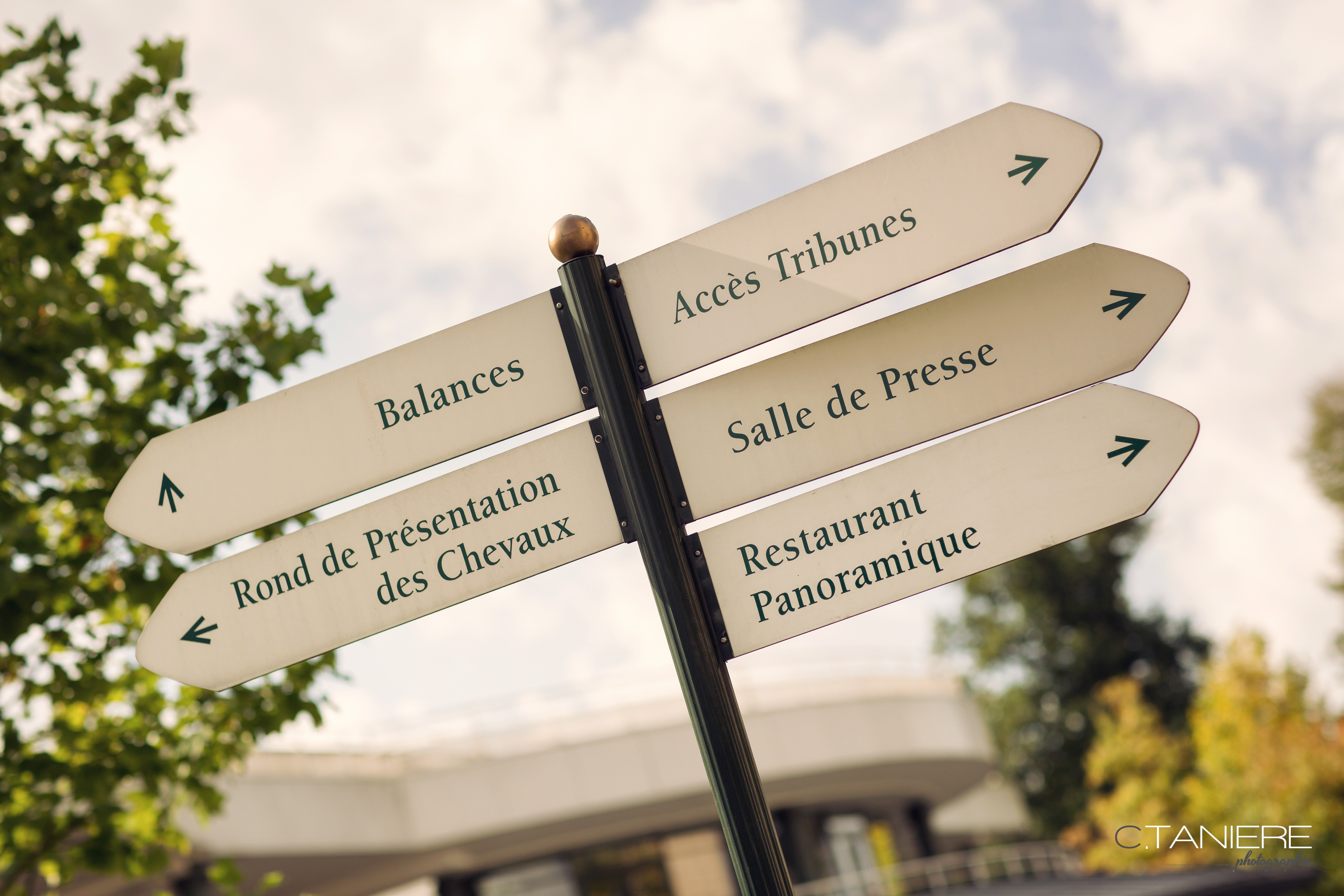 Directional signpost with five signs in French pointing to Balances, Accès Tribunes, Rond de Présentation des Chevaux, Salle de Presse, and Restaurant Panoramique.