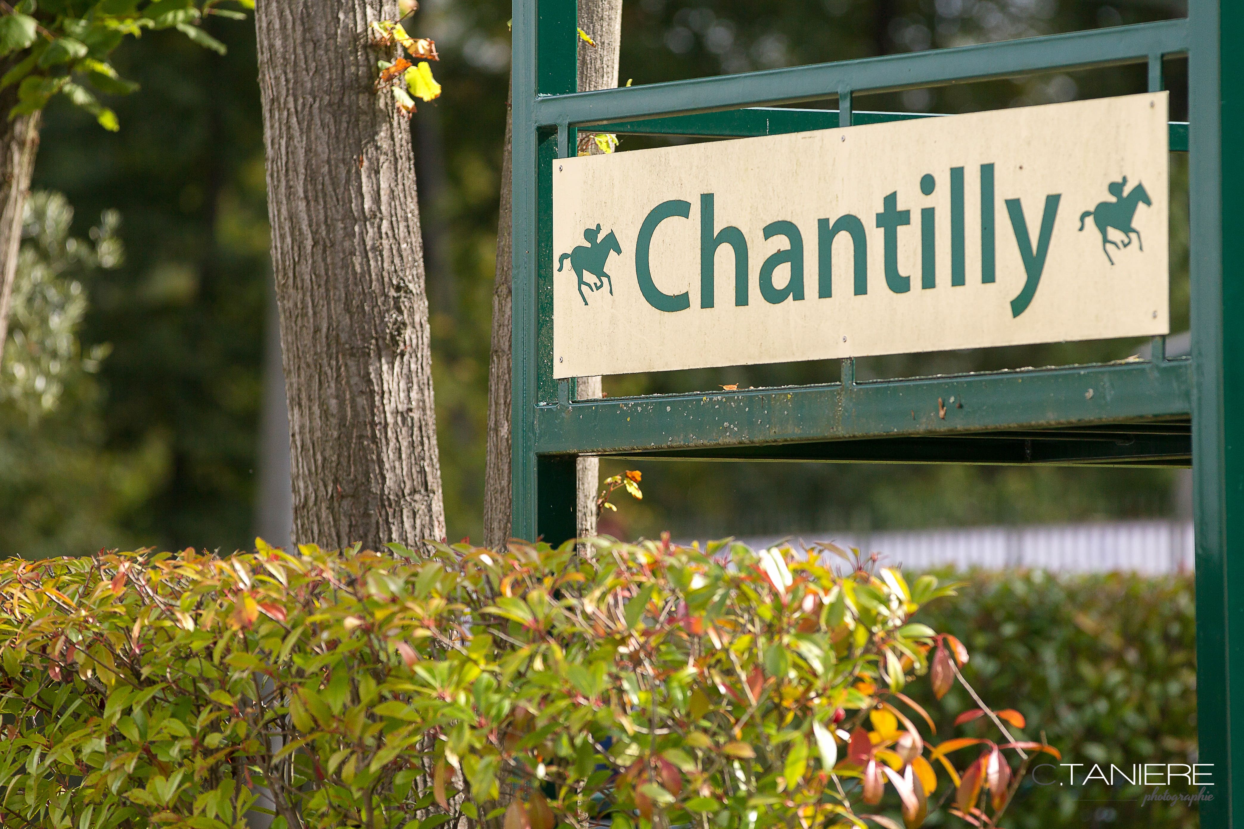 Green and beige metal sign with horse rider icons displaying the word Chantilly near trees and bushes.