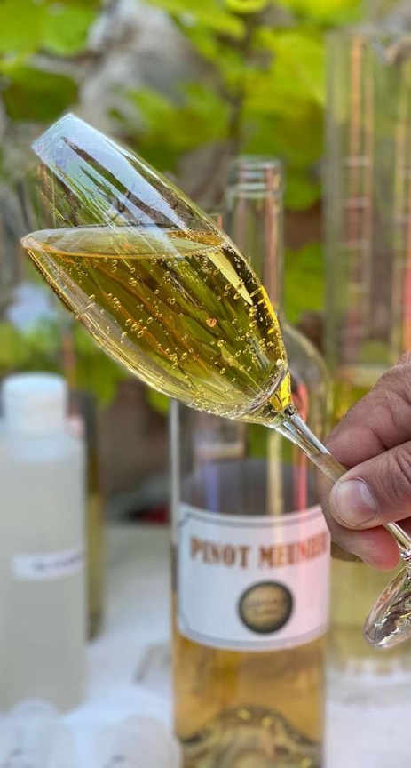 Hand holding a flute glass filled with sparkling white wine, with a Pinot Meunier wine bottle blurred in the background.