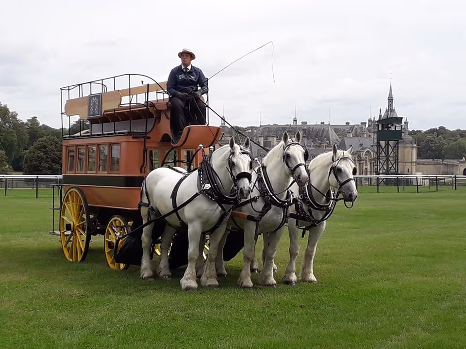 Three white horses harnessed to a vintage stagecoach with a driver sitting on top, set on green grass with a historic building in the background.