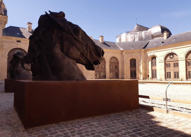 Large dark sculpture of a horse's head displayed in a sunlit courtyard with historic buildings in the background.