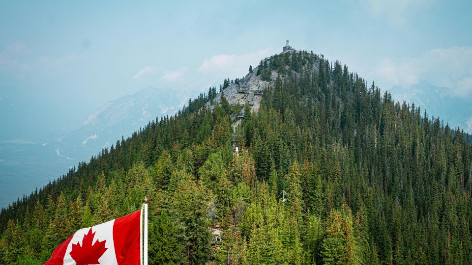 Brampton Employment Lawyers Blogs - Get a Free Consultation