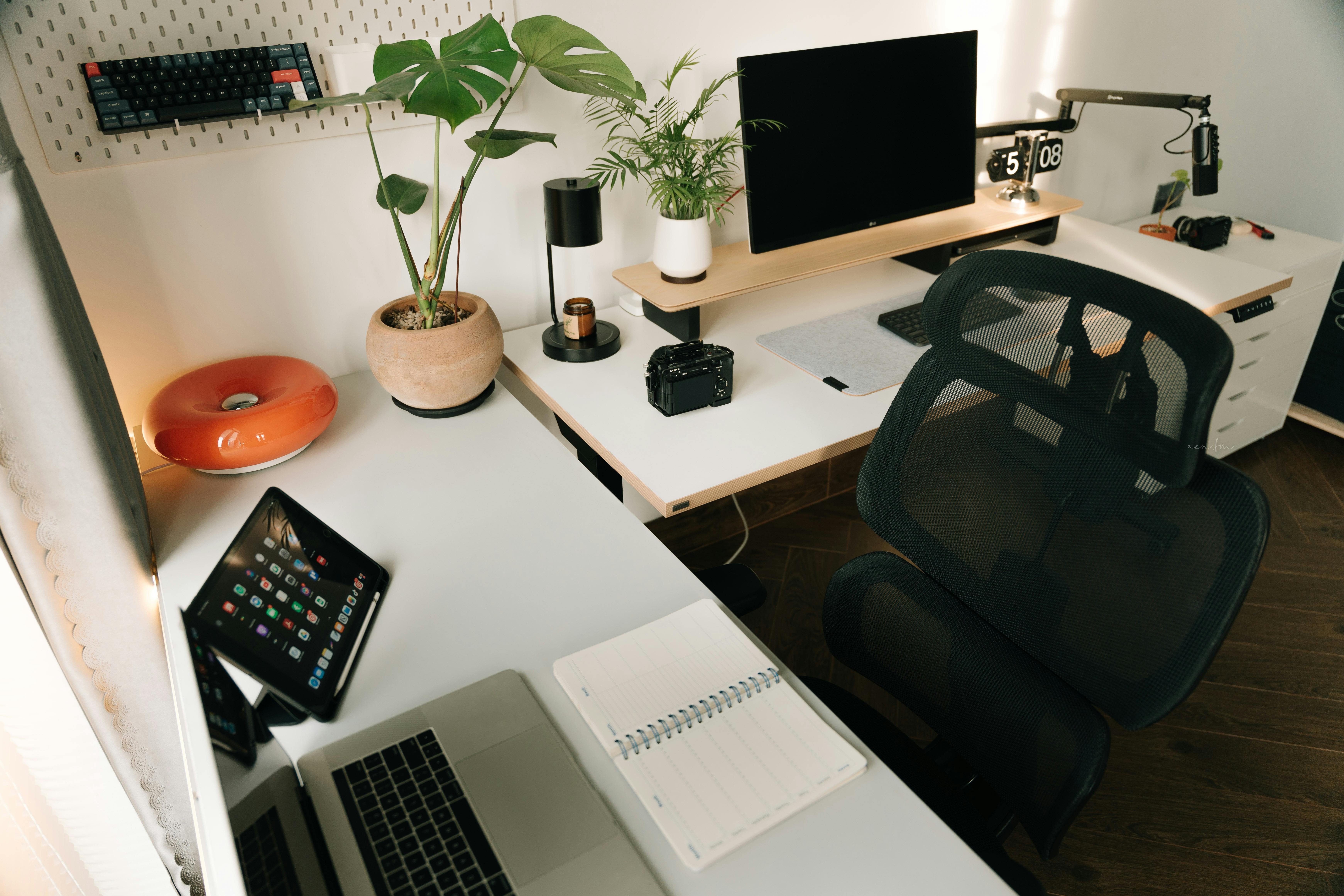 A bright, minimalist corner desk setup featuring a laptop, an iPad displaying apps, a notebook, a computer monitor on a wooden stand, and a mechanical keyboard. The desk is decorated with a large Monstera plant, a smaller potted plant, a black lamp, a camera, and a unique orange donut-shaped light or pillow. The background includes a white pegboard with a keyboard mounted and a white storage cabinet.