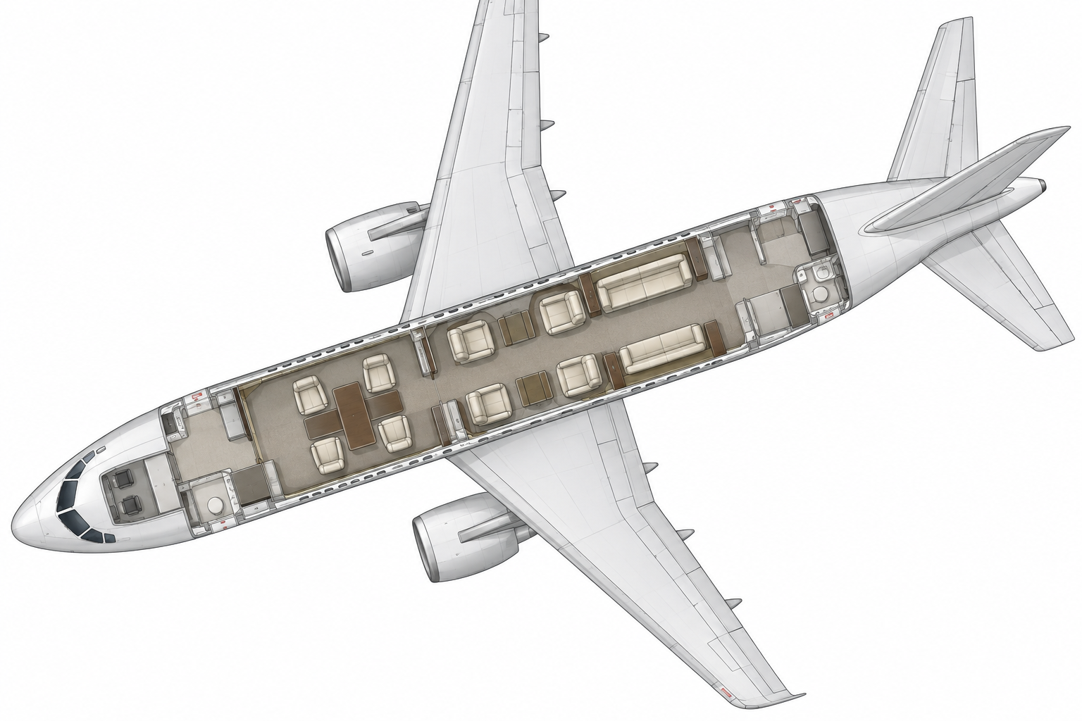 airbus-319-vip
