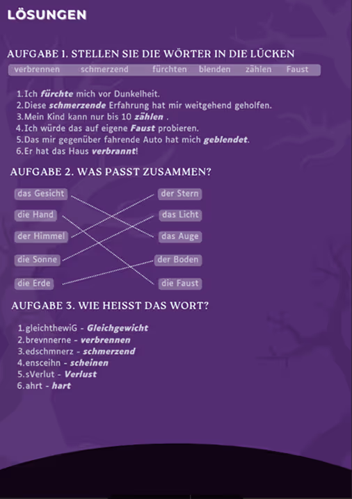 Слайд з розбору пісень Rammstein з німецької мови 