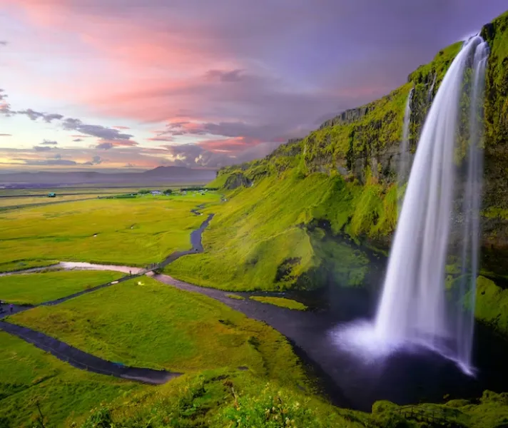 Nature Image