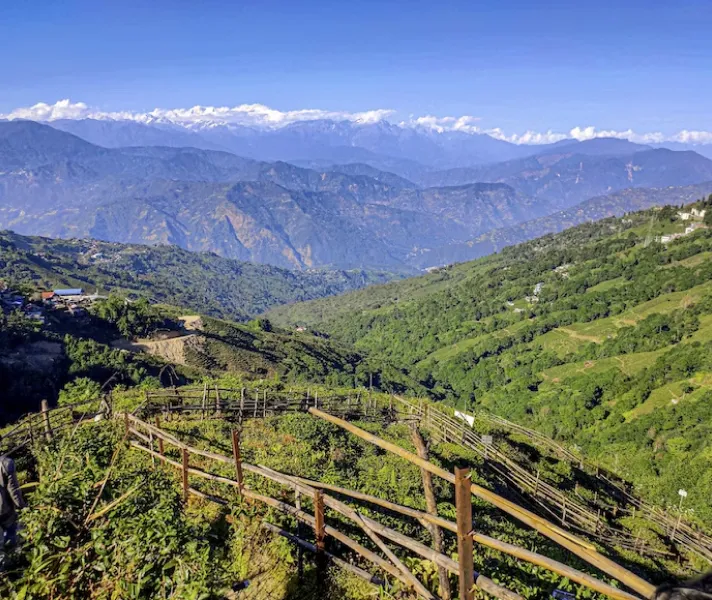 Nature Image