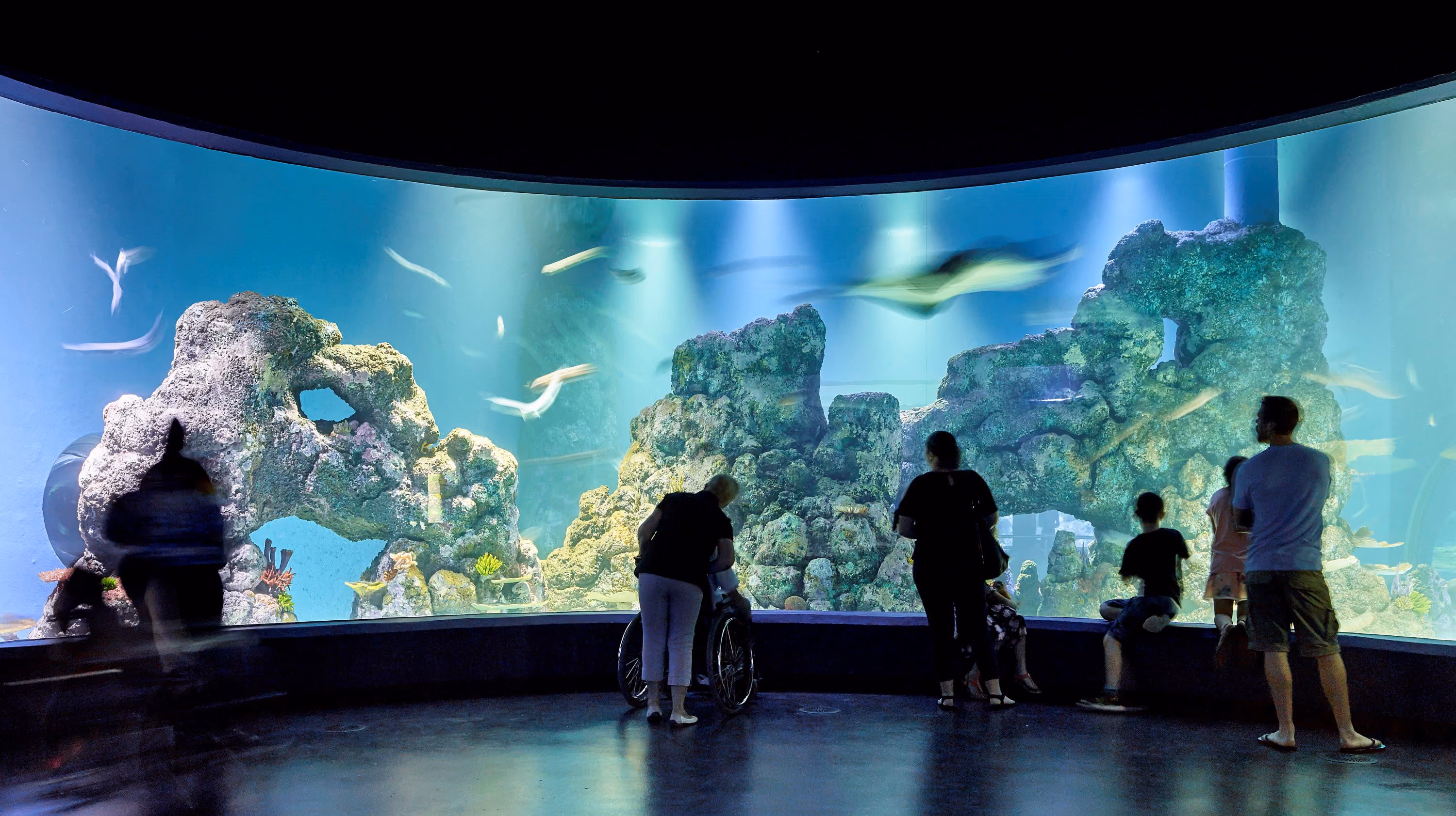 Cairns Aquarium & Marine Research Facility