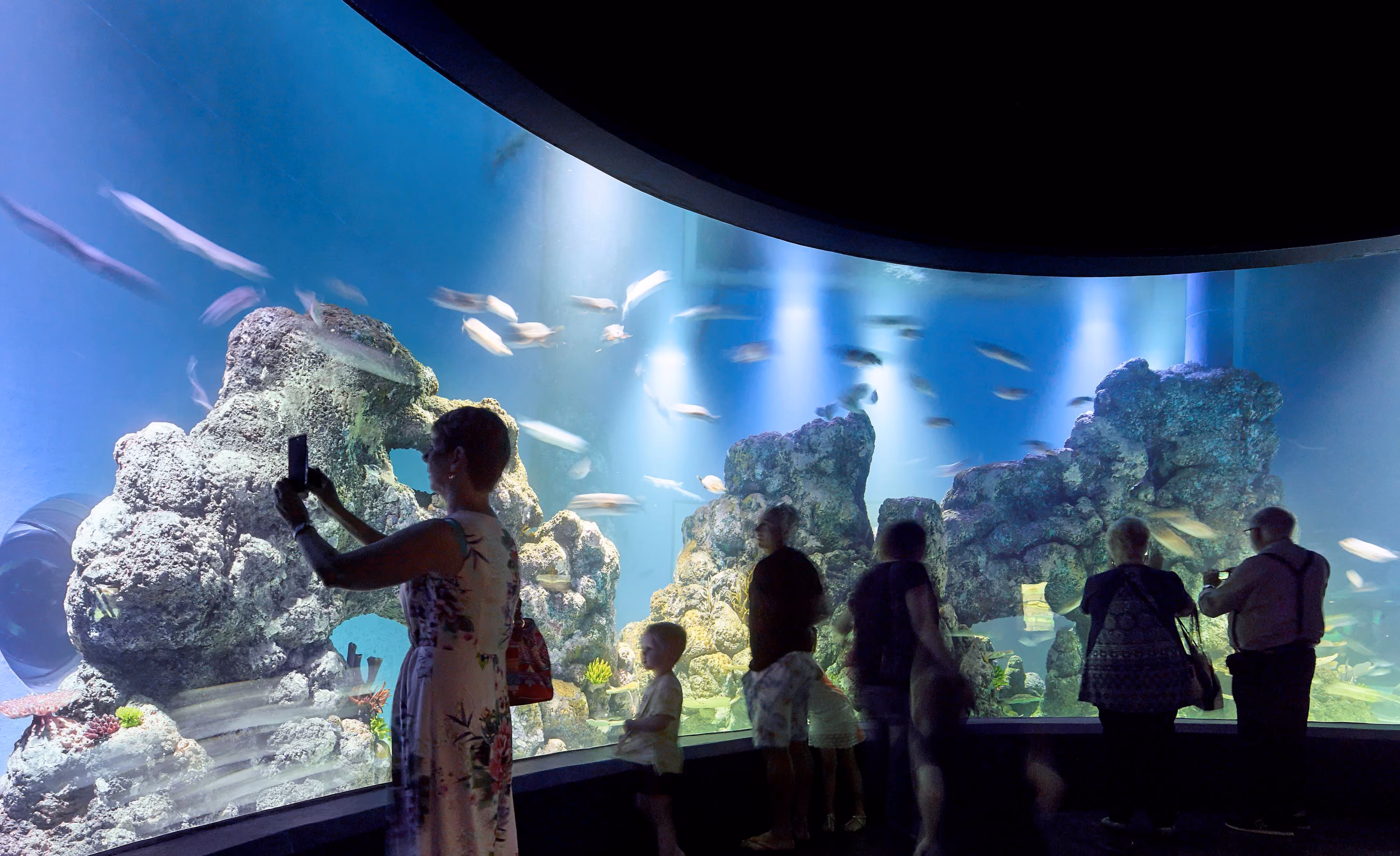 Cairns Aquarium & Marine Research Facility