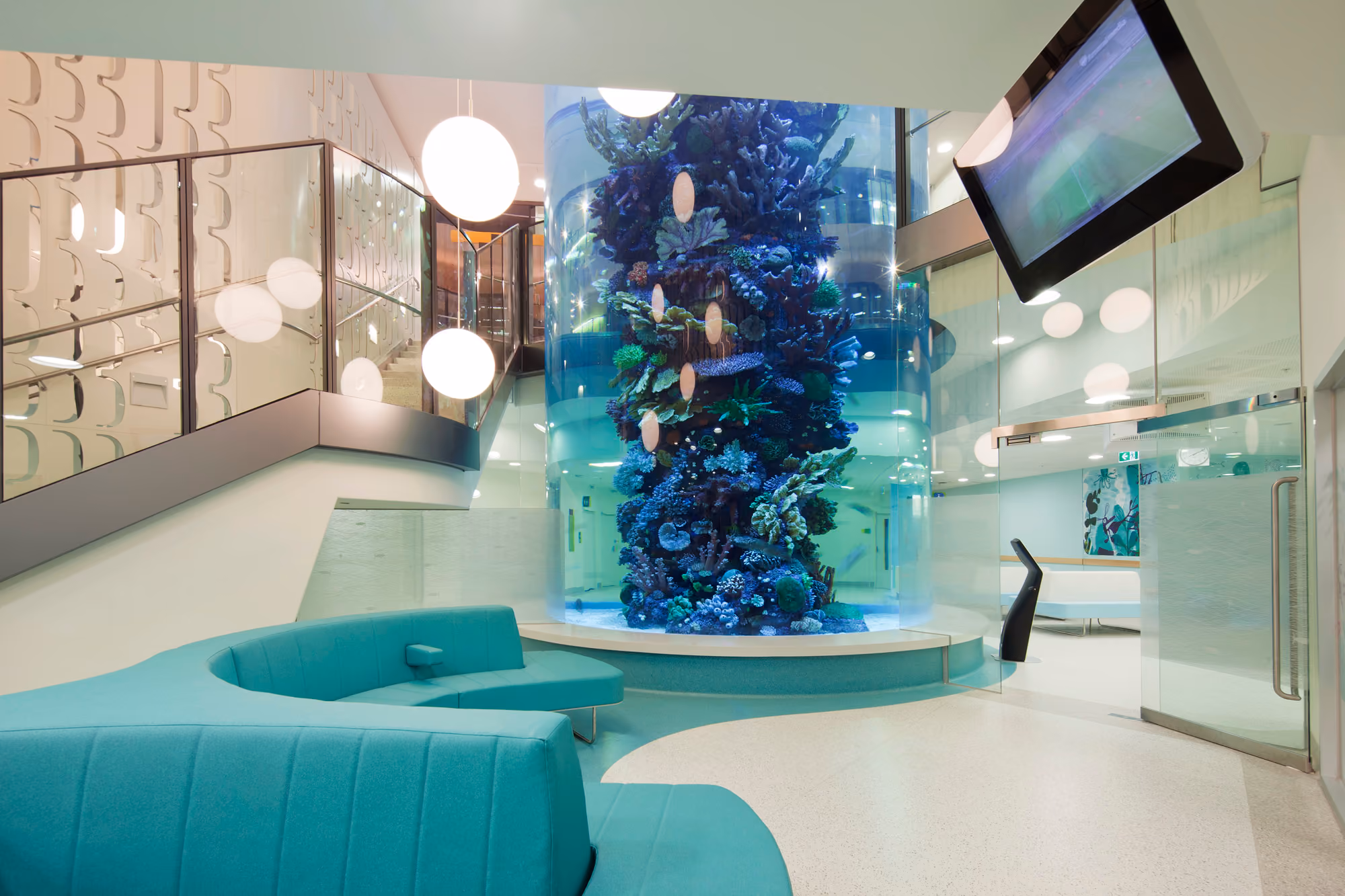Royal Children’s Hospital Tank