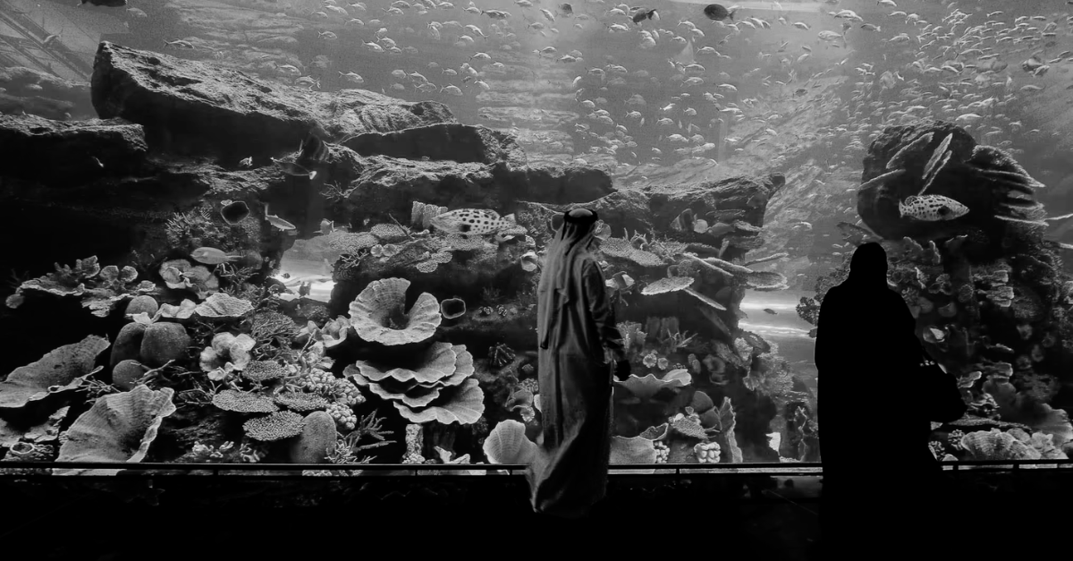 Dubai Mall Aquarium and Underwater Zoo