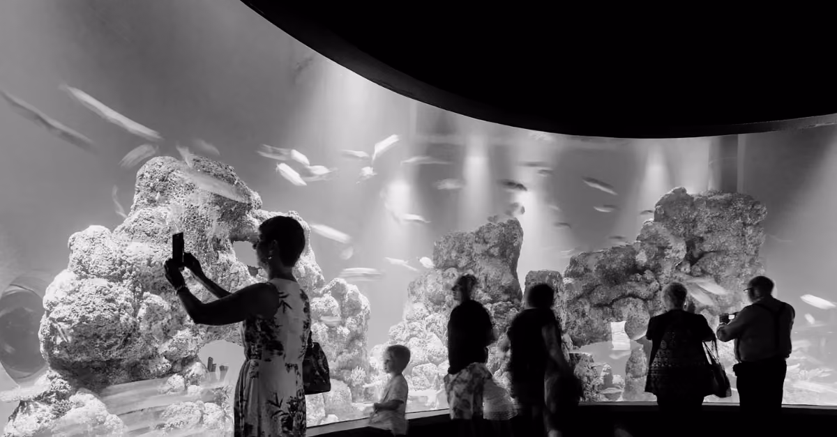 Cairns Aquarium and Marine Research Facility
