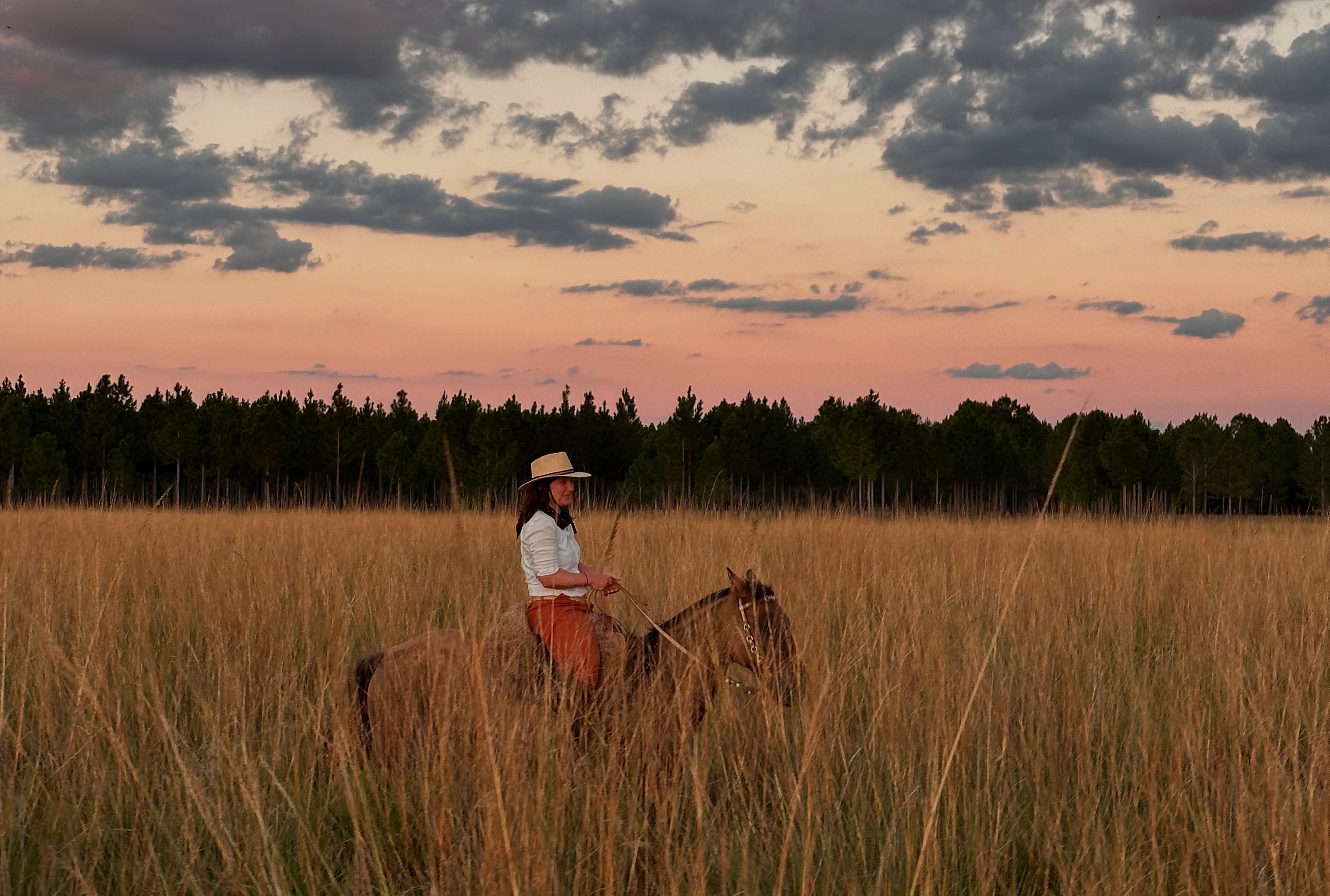 Mit ihrem Entschluss, einen Teil ihres Lebens bei den argentinischen Gauchos zu verbingen, hat sich Nicole Siegrist einen Kindheitstraum erfüllt.