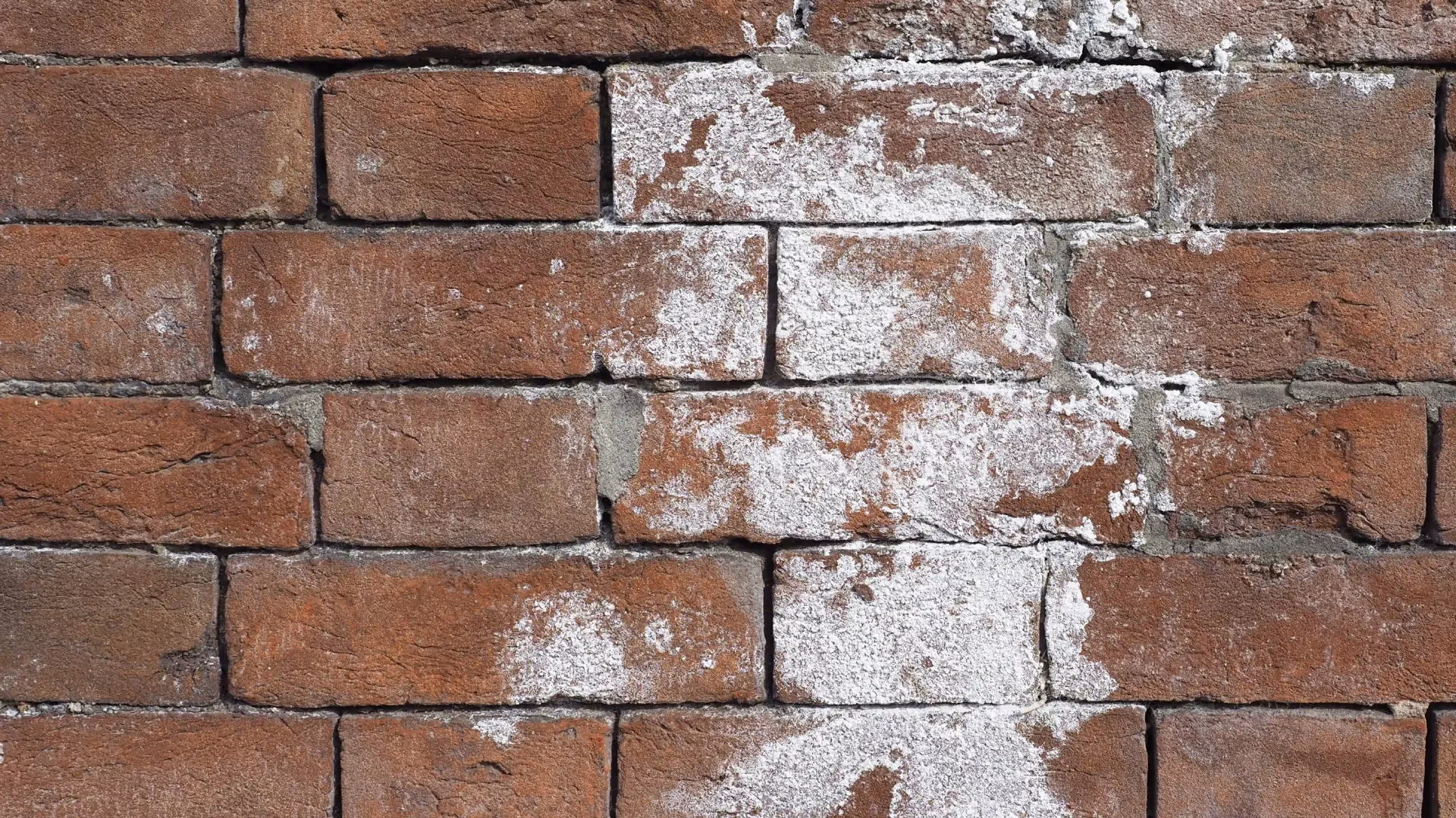 5 Signs of Water Infiltration text over a brick wall with efflorescence on it showing water damage on the wall