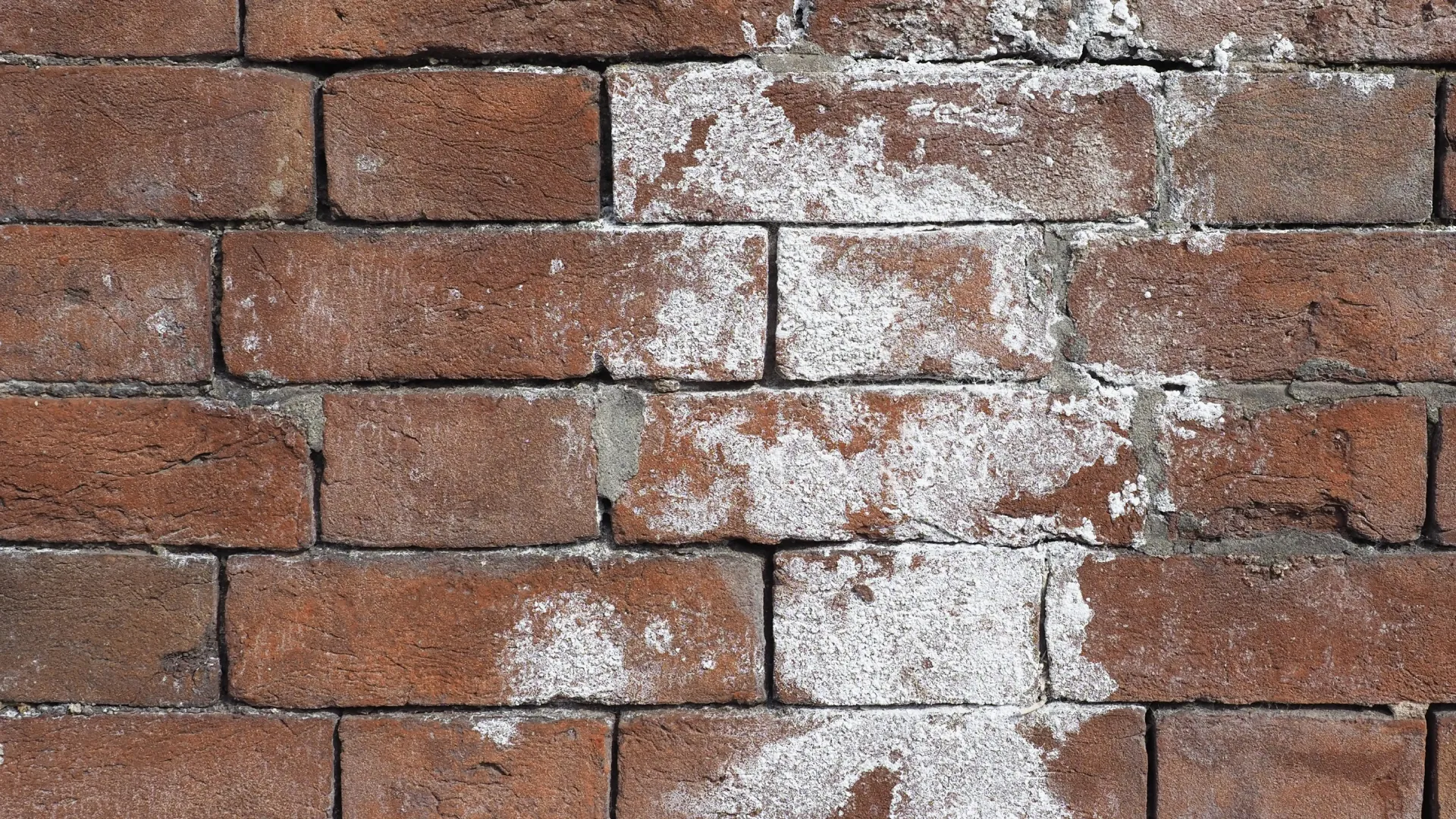 5 Signs of Water Infiltration text over a brick wall with efflorescence on it showing water damage on the wall