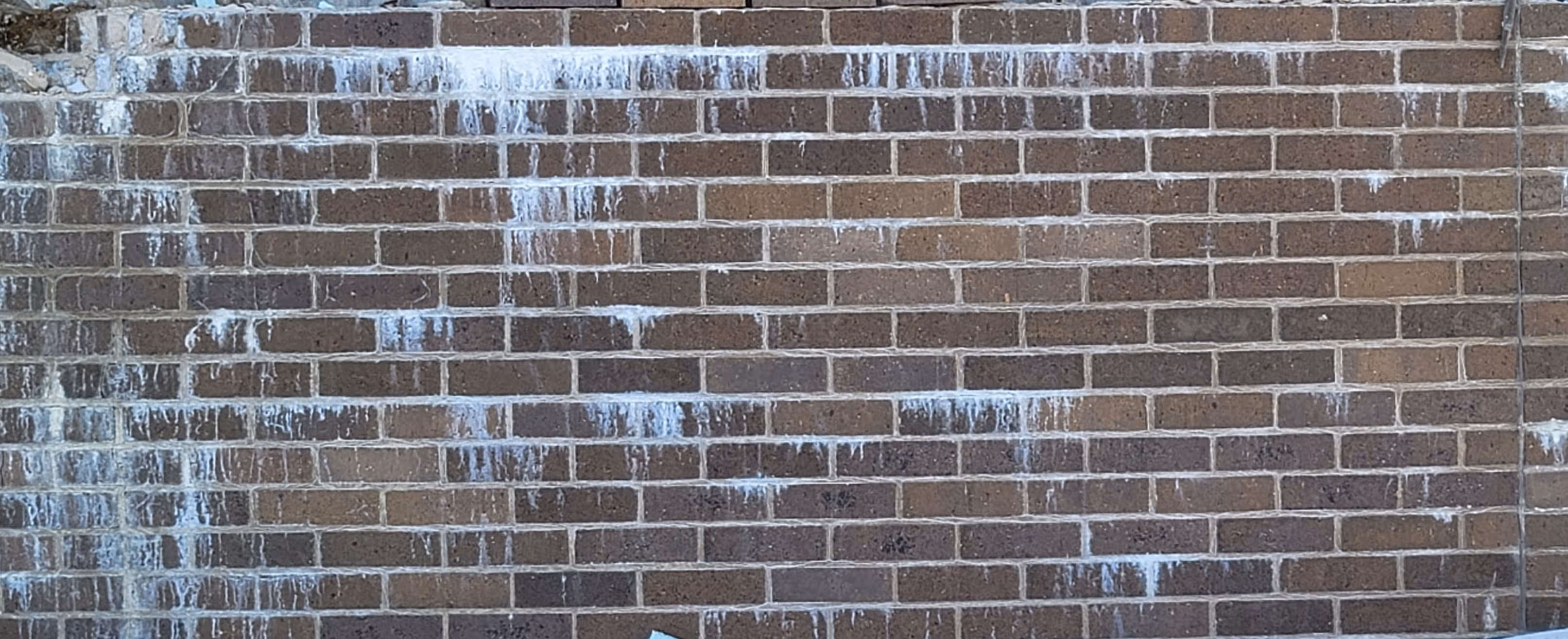 White efflorescence deposits on a commercial brick wall indicating moisture infiltration