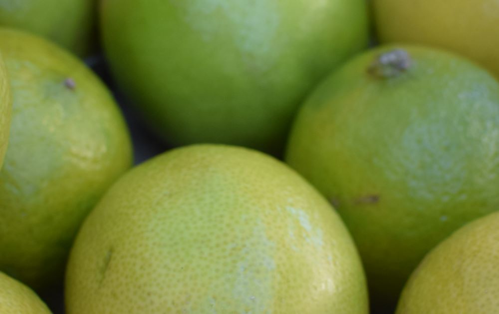Limes