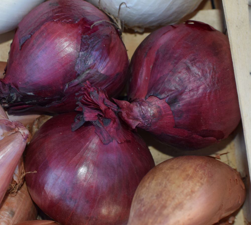 Red Onions
