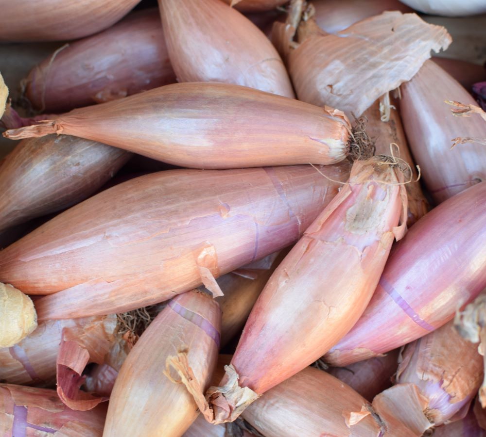 Banana Shallots