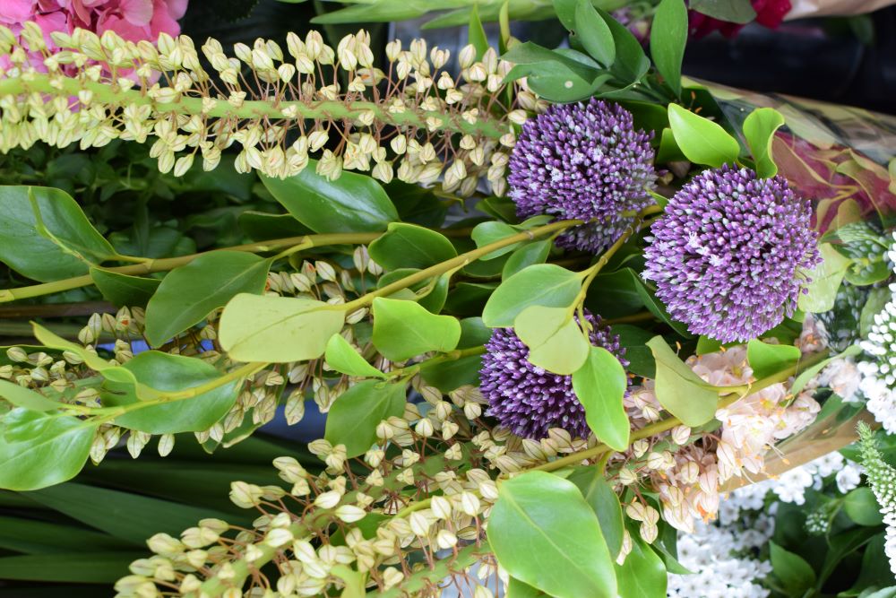Flowers 