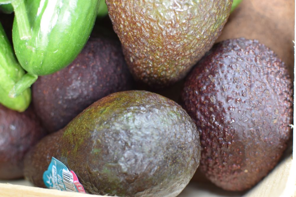 Avocado