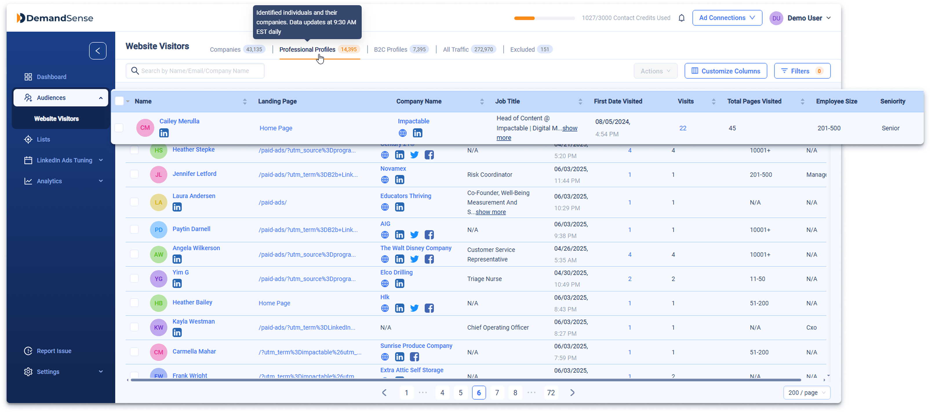 demandsense-website-visitor-identification-professional-profiles