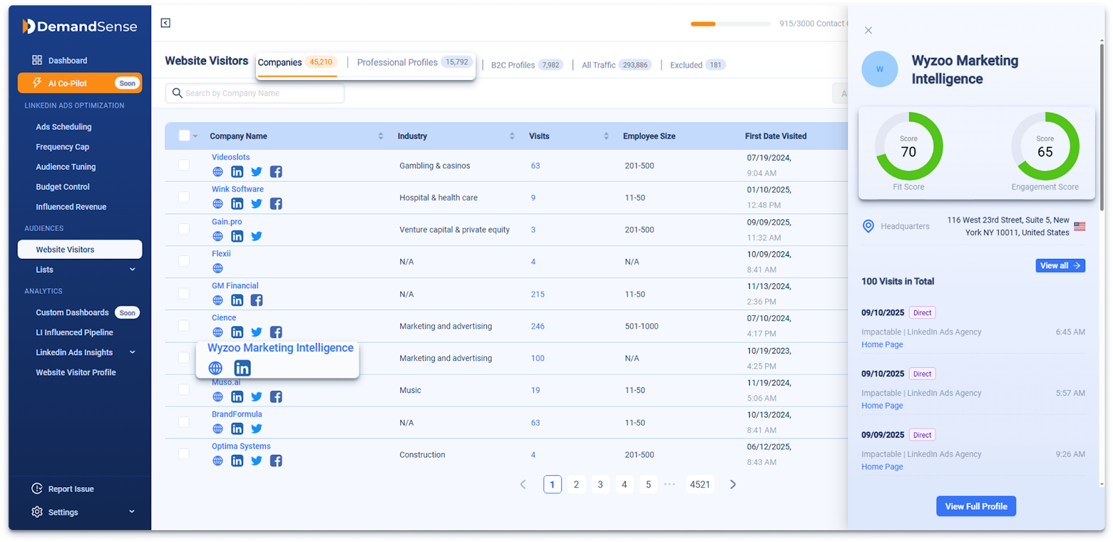 demandsense-website-visitor-identification-lead-scoring