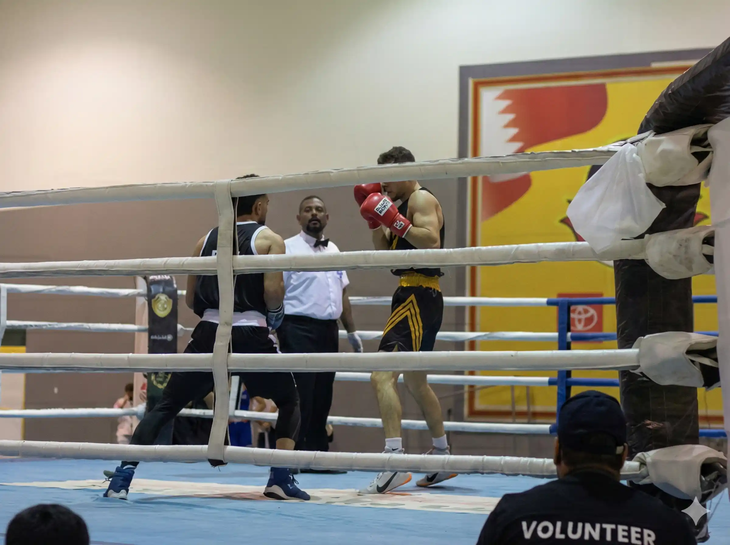 boxers fighing in the ring