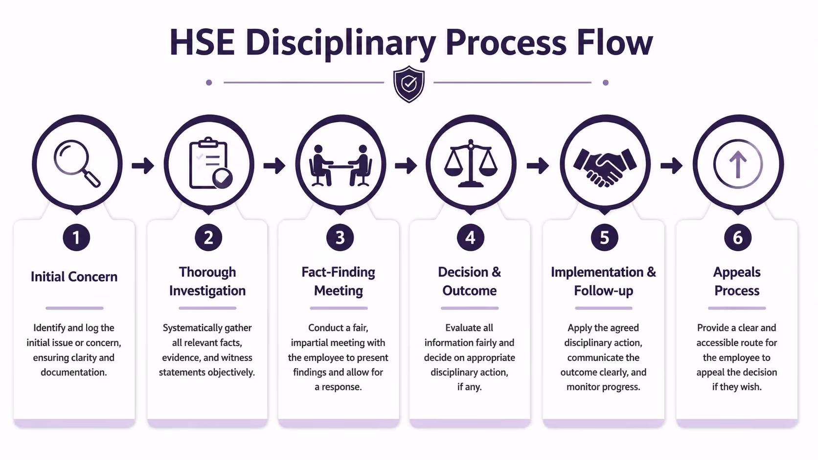 A six-step infographic detailing the HSE disciplinary process flow from initial concern through to appeals.
