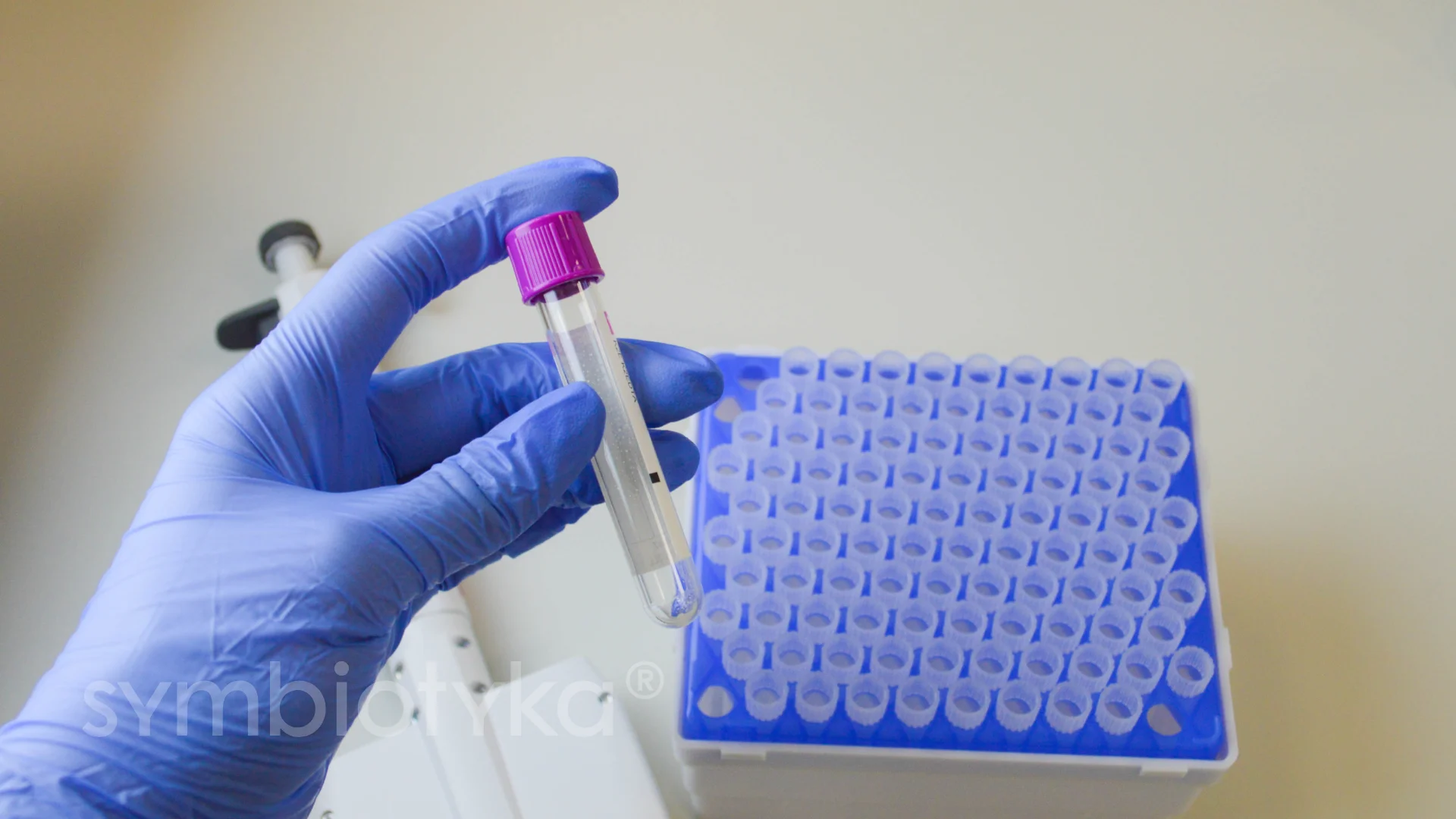 A person in a blue glove holding a purple tube.