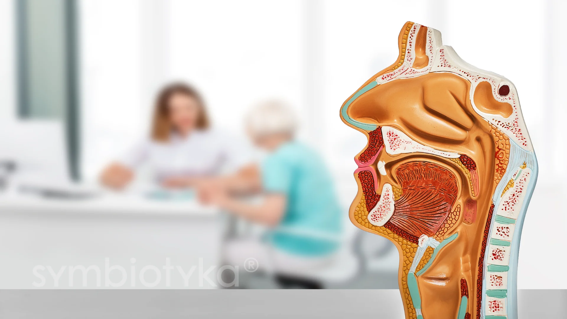 A model of a human body with a woman in the background.