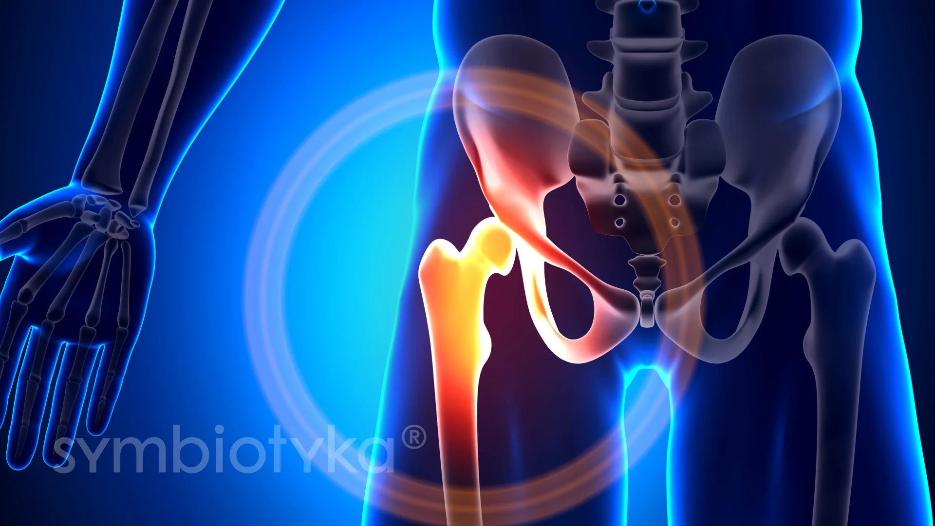 A picture of a human body with a knee joint.