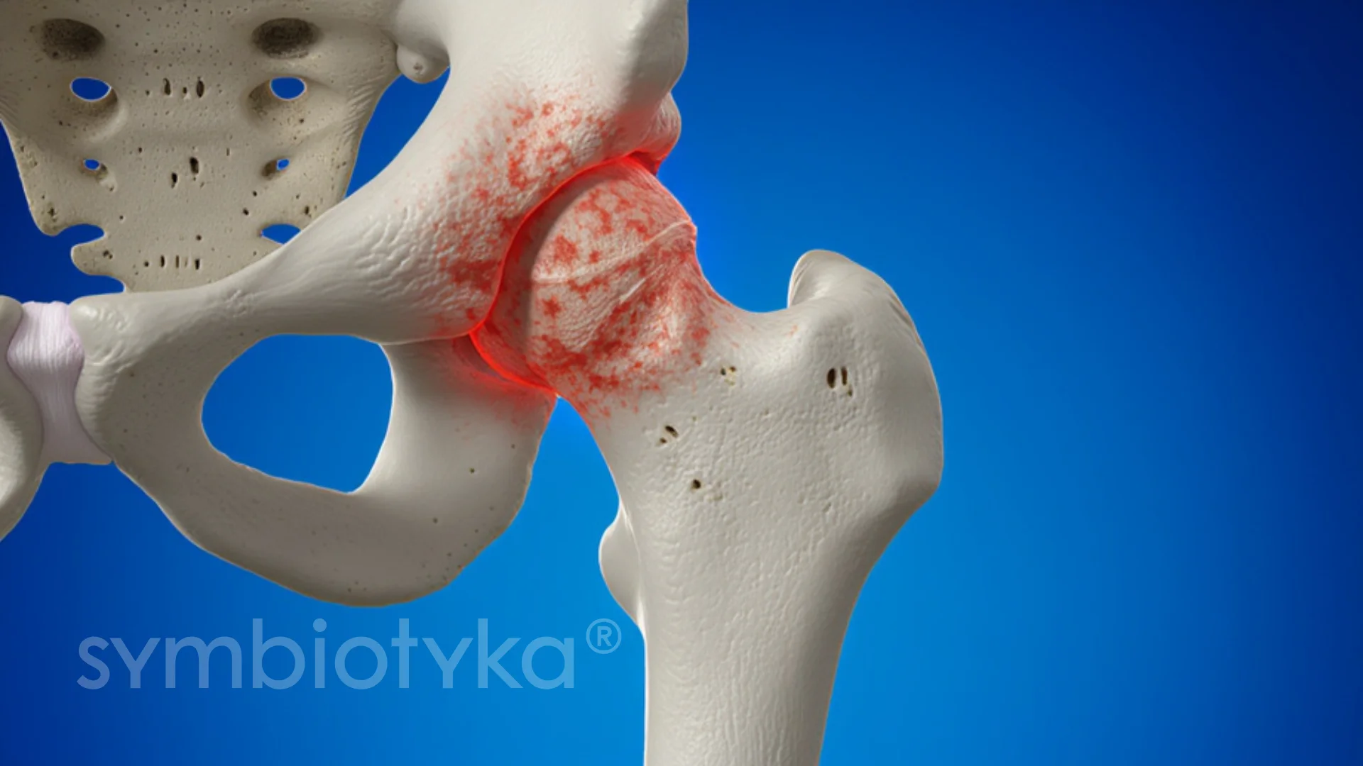 A close up of a bone with a red spot on it.