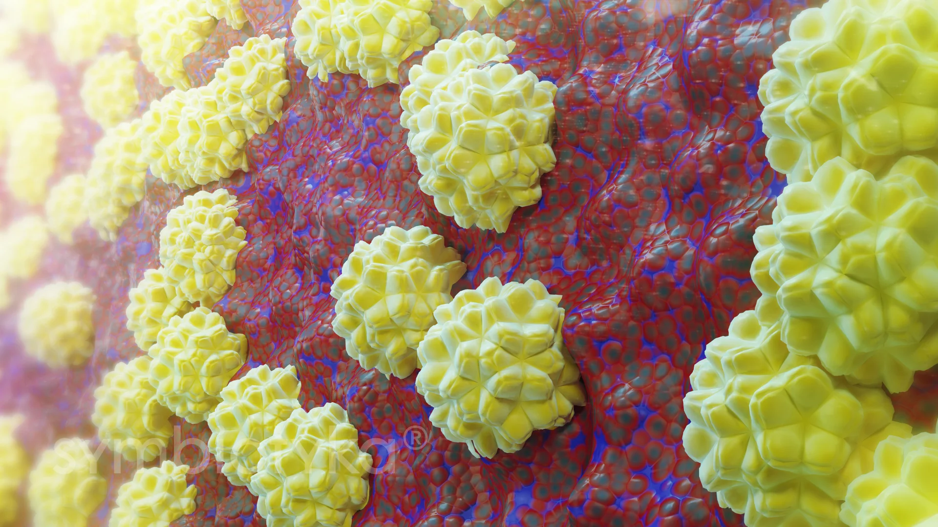 A close up of a cell phone with yellow and red balls.