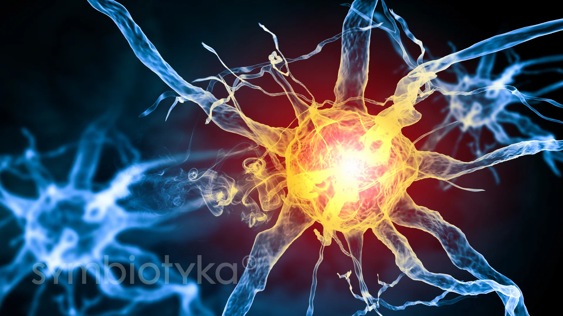 A close up of a yellow and blue flower.