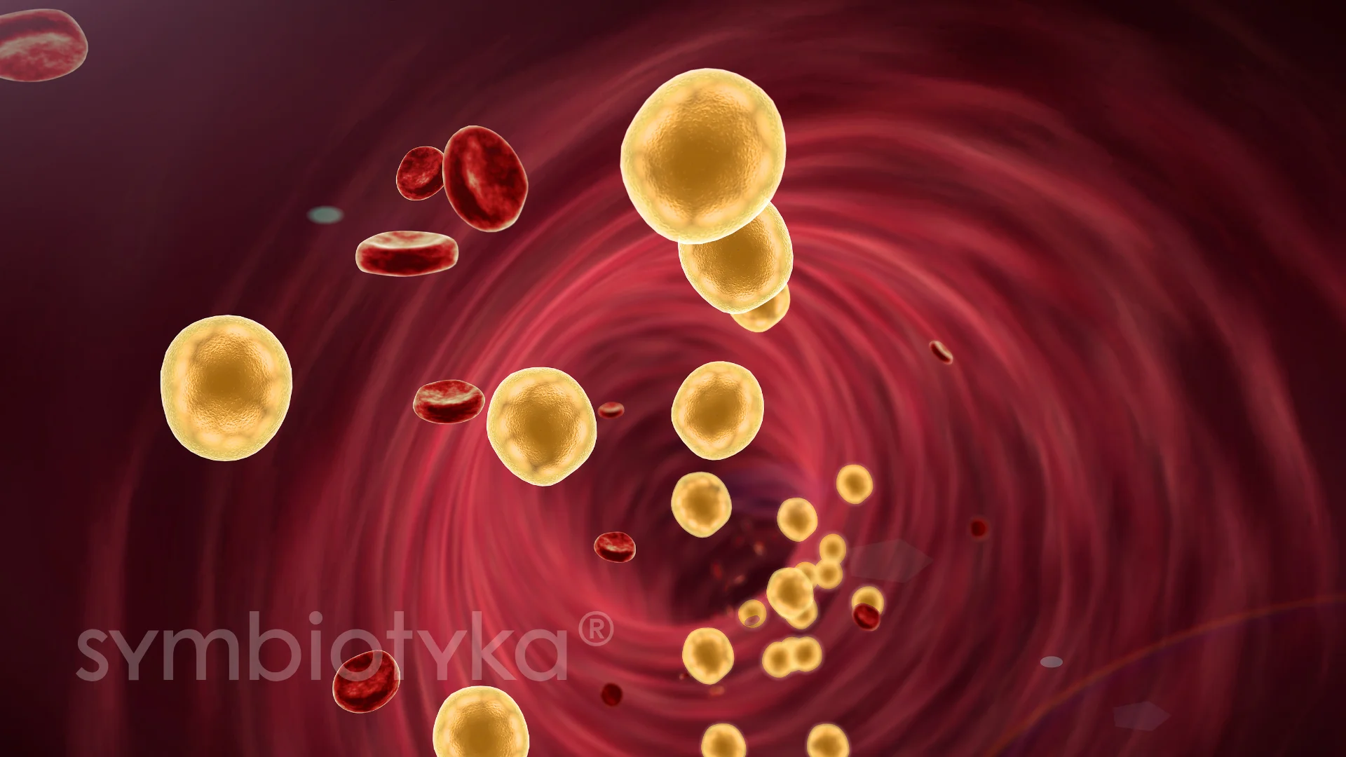 A red blood cell with red blood cells.