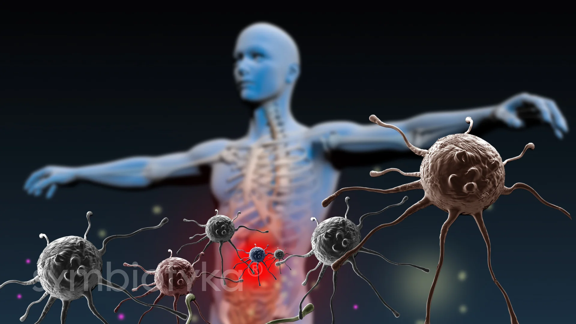 A computer generated image of a human body with a lot of cellulides.