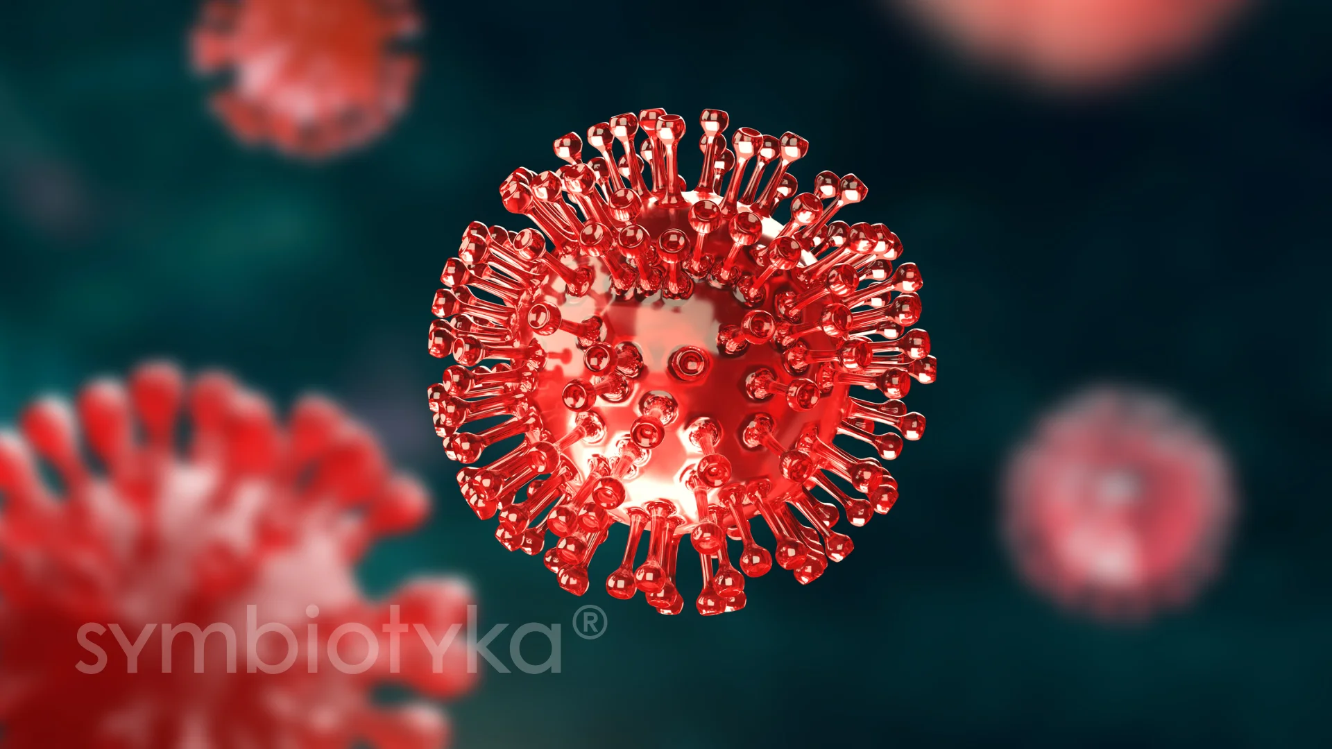 A close up of a red and white substance.