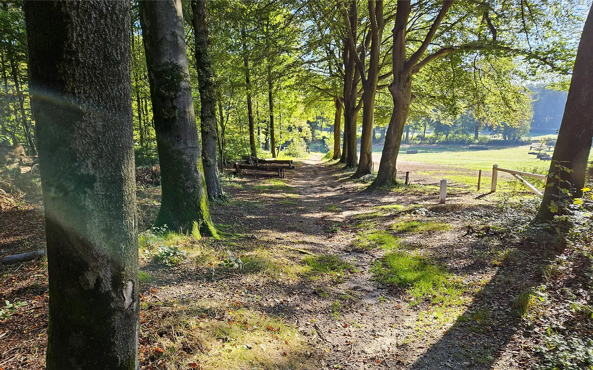 Beheerplan bossen gemeente Nijmegen
