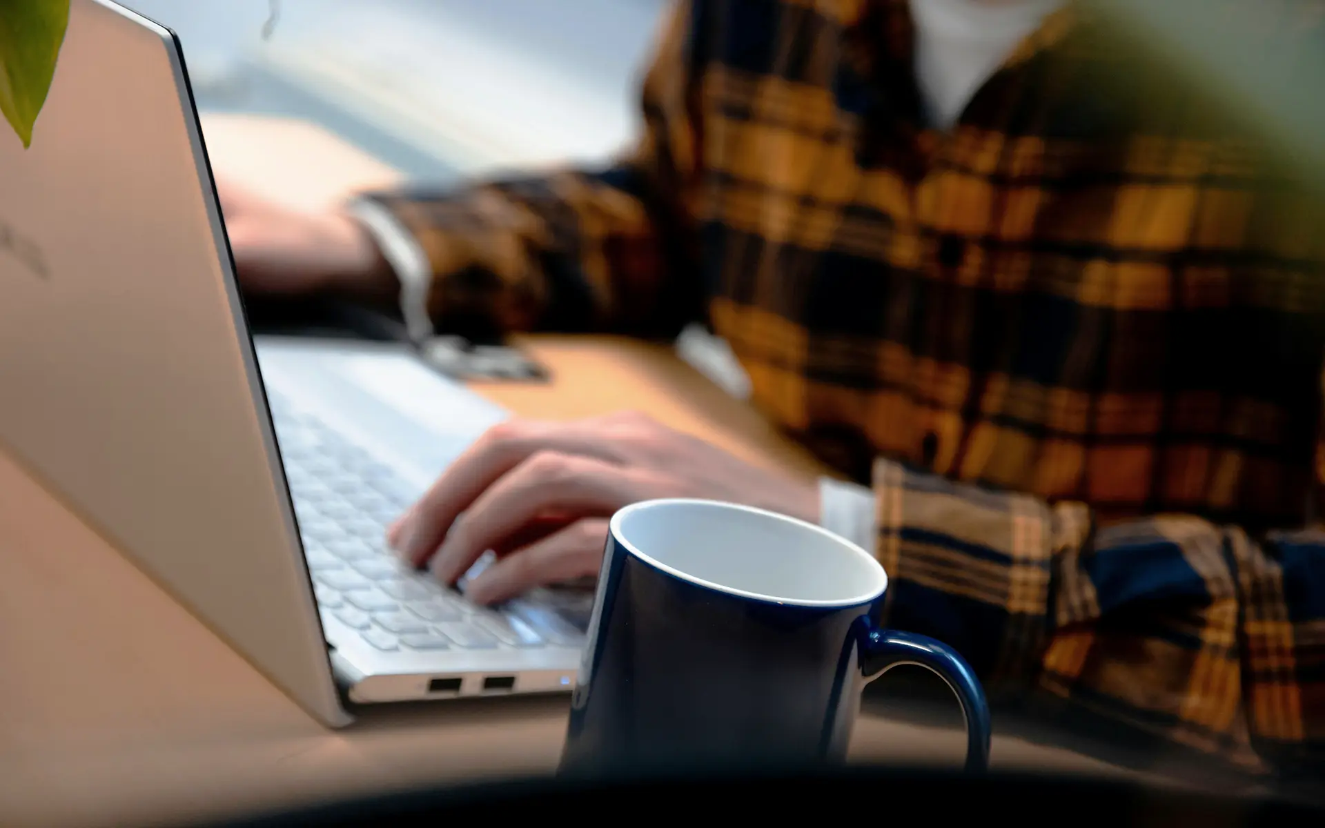 GIS medewerker met ecologische kennis