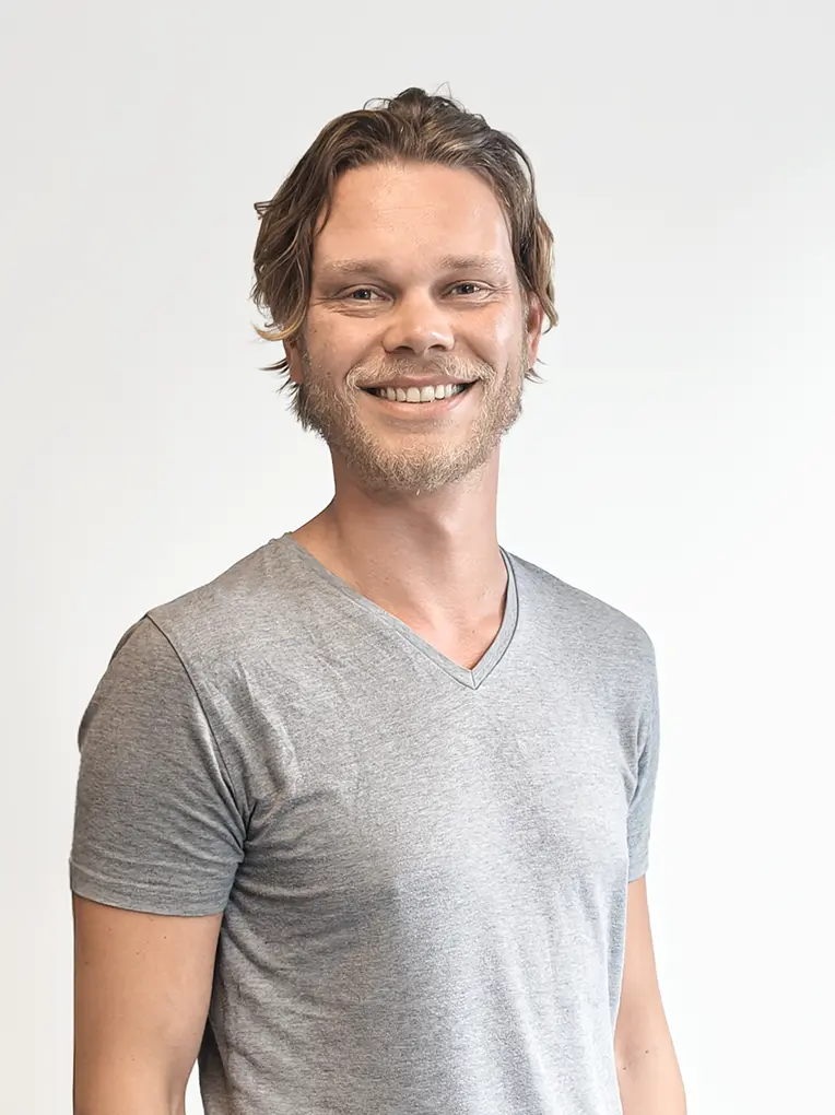 Joris de Vries