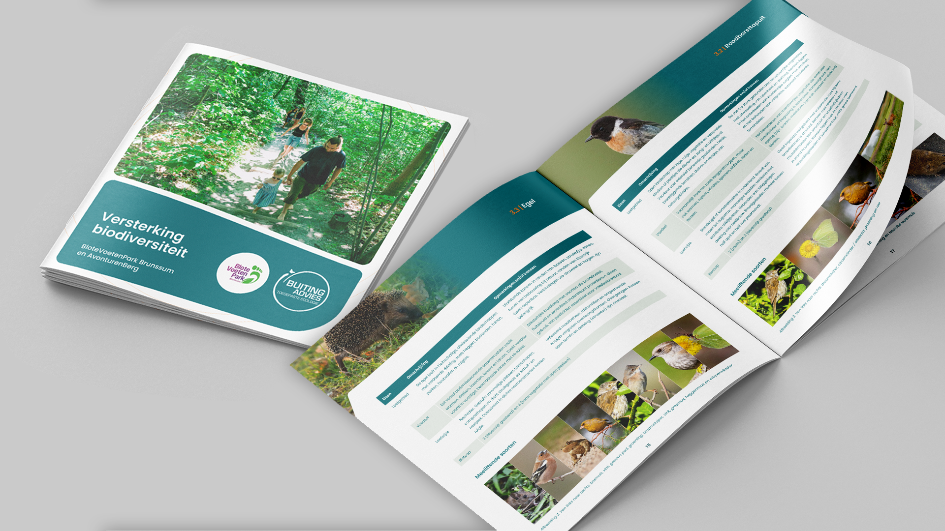 Biodiversiteit versterken op recreatieterreinen met Buiting Advies en IVN