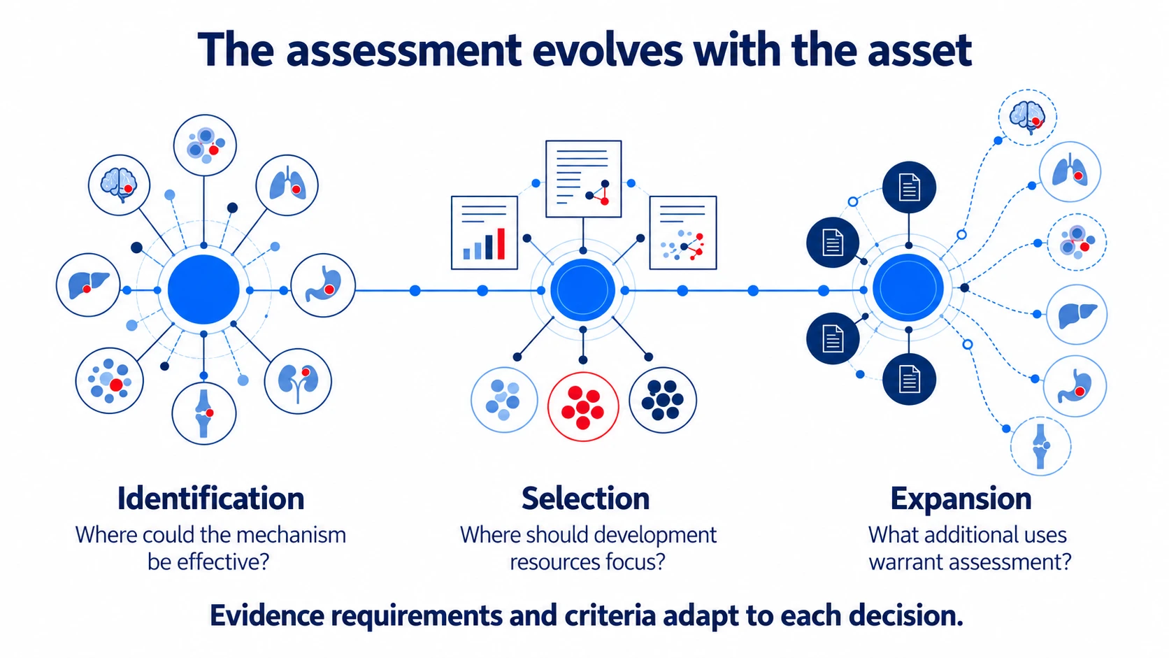 Identification, selection, and expansion: evidence requirements and criteria adapt to each indication decision.