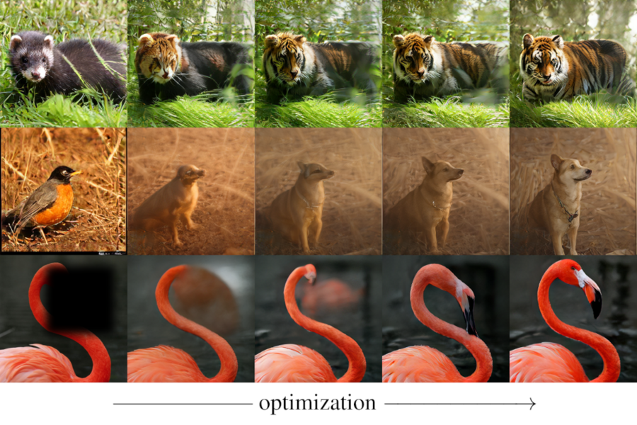 A 5x3 grid of animal photos. In the first row, a red panda is transformed into a tiger. In the second, a robin becomes a dog. Finally, a flamingo's head appears in place of a black square.